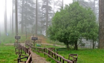 dhanaulti