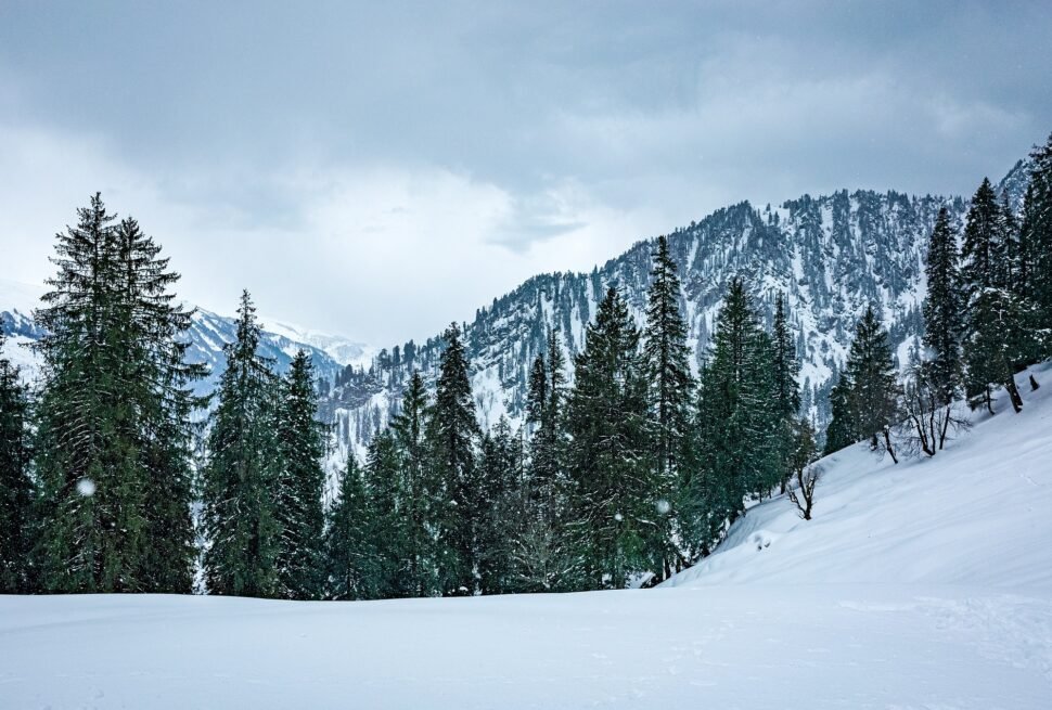 himachal pradesh shimla manali kullu rohtak roharu