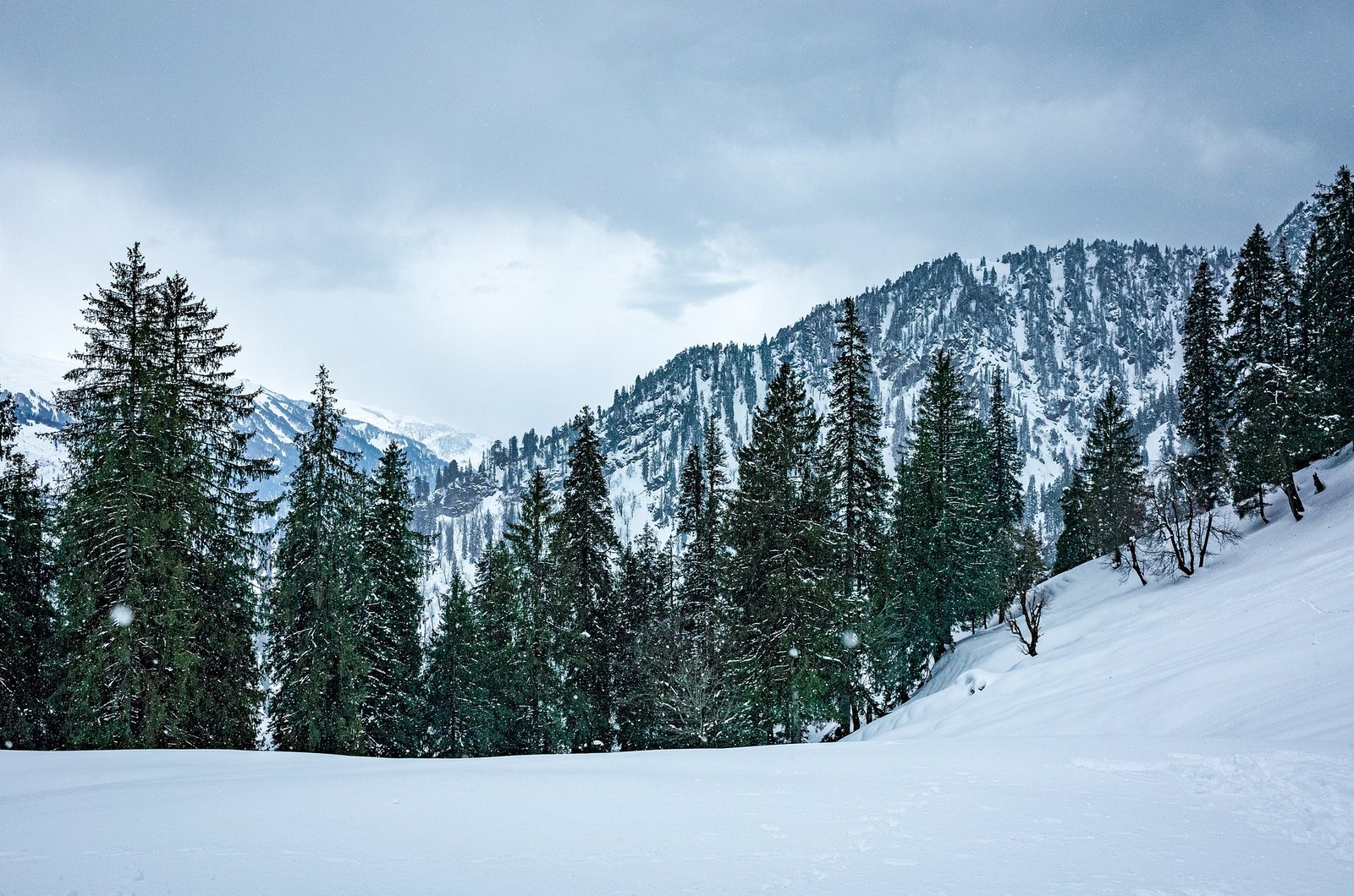 himachal pradesh shimla manali kullu rohtak roharu