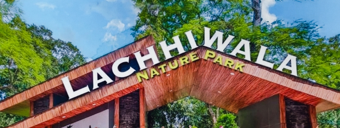 lachhiwala dehradun
lachhiwala natural park dehradun
lachhiwala park dehradun