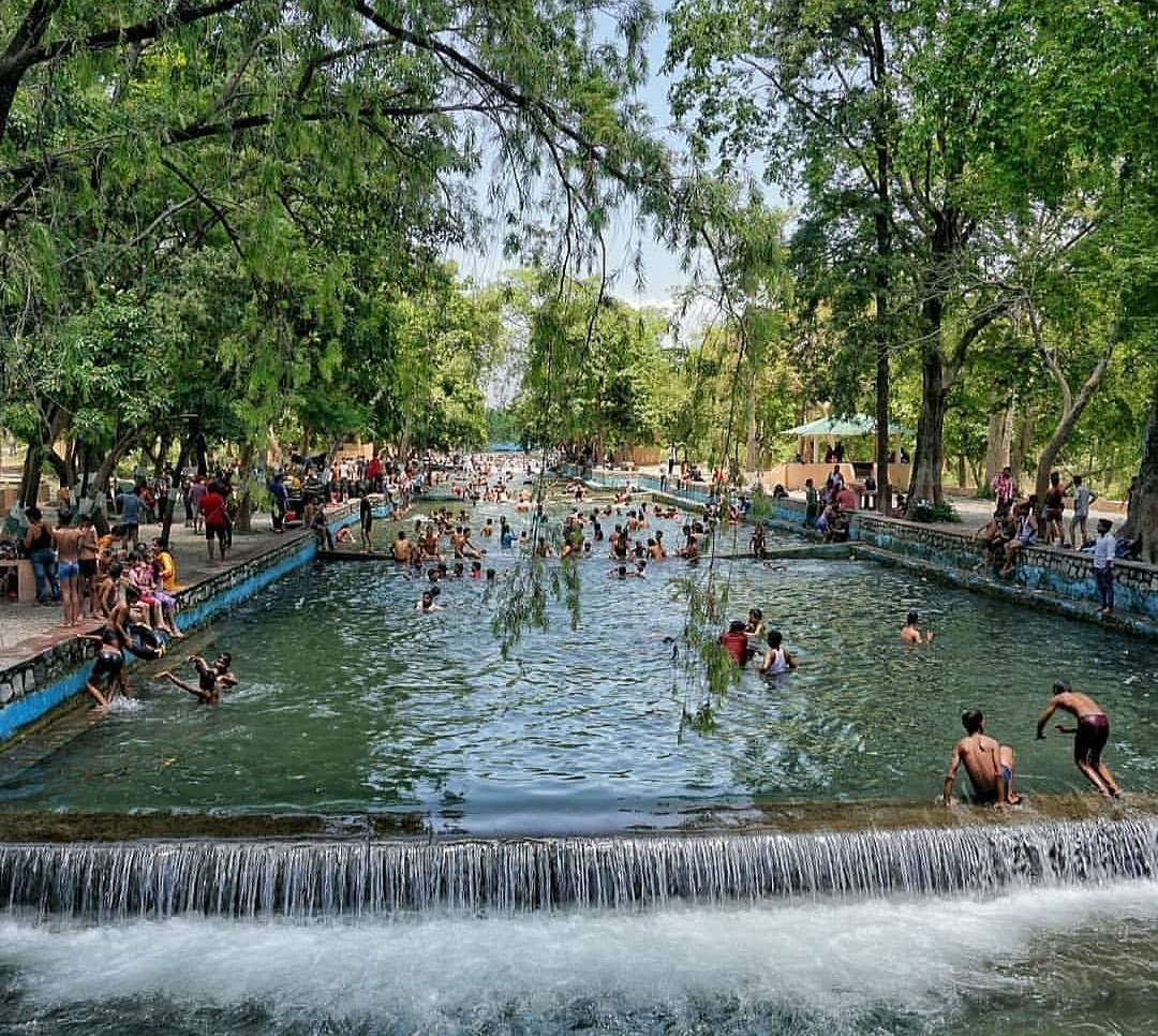 lachhiwala dehradun
lachhiwala natural park dehradun
lachhiwala park dehradun