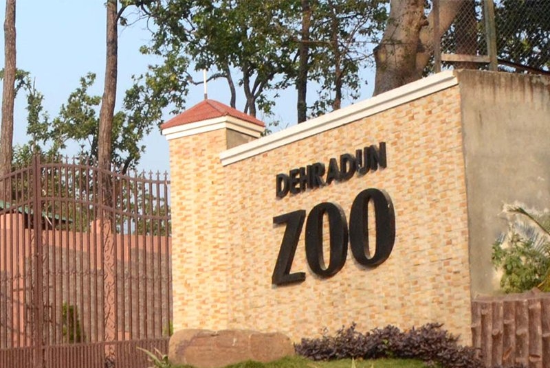 Malsi Deer park dehradun
malsi deer par
zoo dehradun