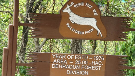 Malsi Deer park dehradun
malsi deer par
zoo dehradun